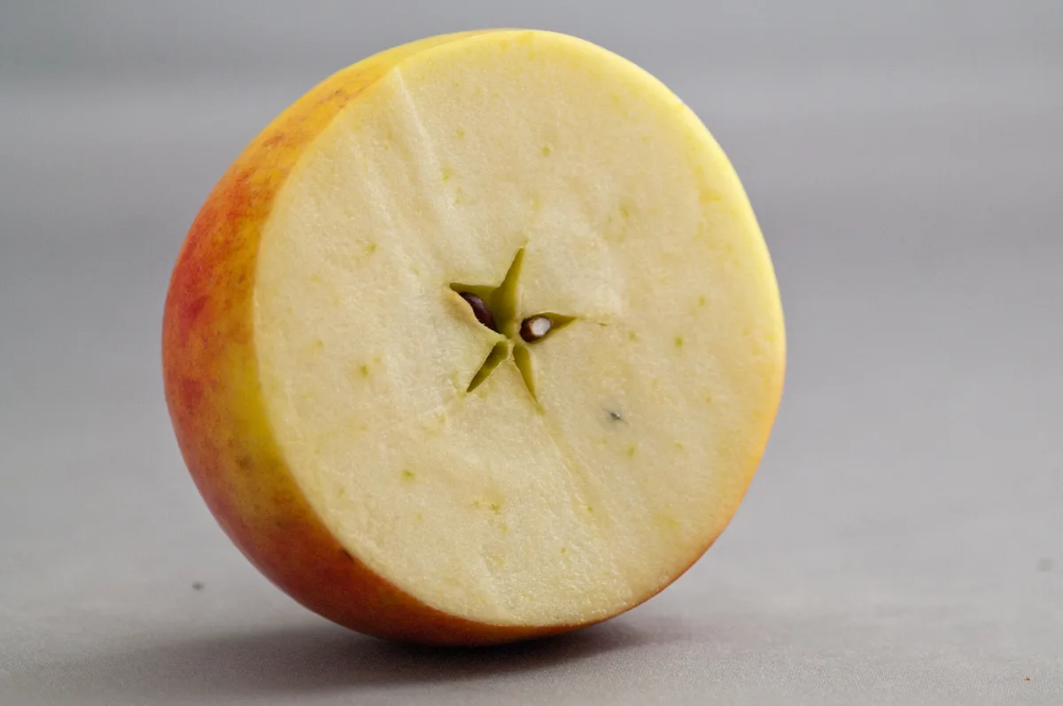 Kanzi apple photo thumbnail 2